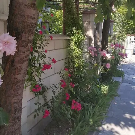 招待所 Fema 巴尔奇克