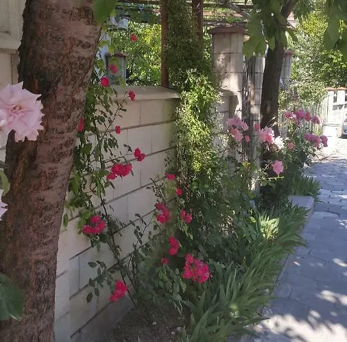 Maison d'hôtes Fema Balchik